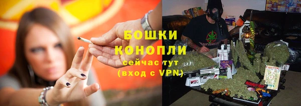 мет Ладушкин