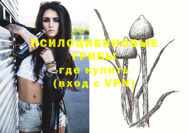 ECSTASY Кулебаки