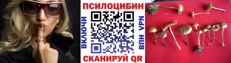Купить закладки  Лагань  Псилоцибиновые грибы Psilocybe 